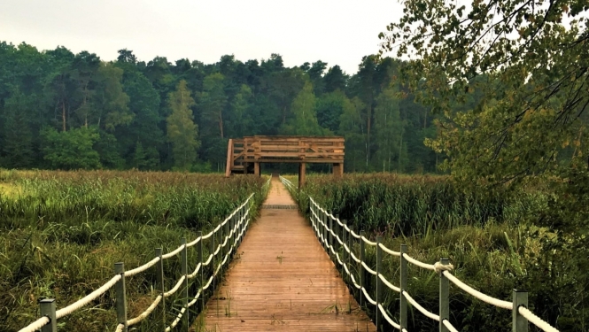 Diskutē par aktualitātēm kultūras, tūrisma un sporta jomā