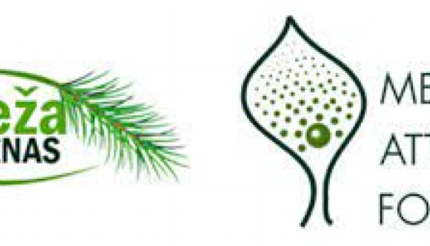 Iestādīts vairāk nekā 100 koku un krūmu